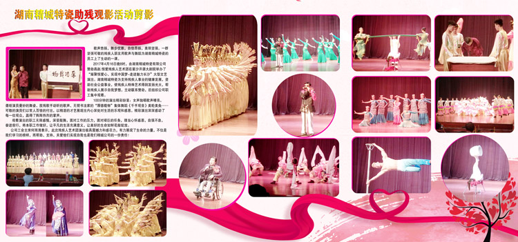 湖南mg冰球突破豪华版试玩赞助燕赵·恒爱残疾人艺术团圆满演出