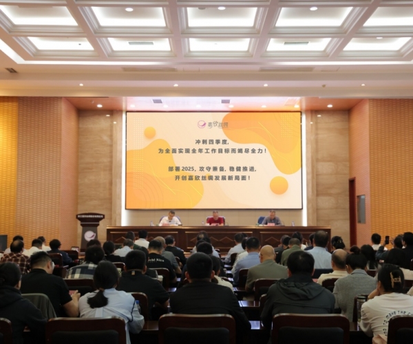 122cc太阳集成游戏丝绸2024年三季度经济形势剖析会顺遂召开